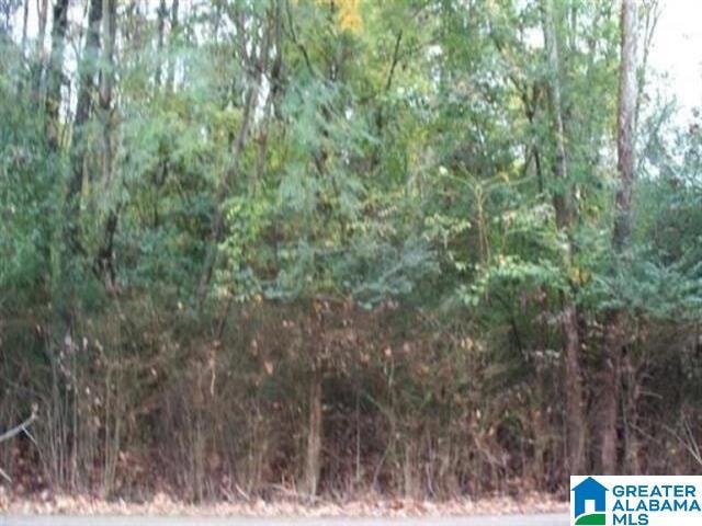 1025 Stoudemire Ave, Birmingham, AL 35217 - photo 1