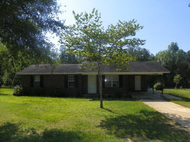 Main View