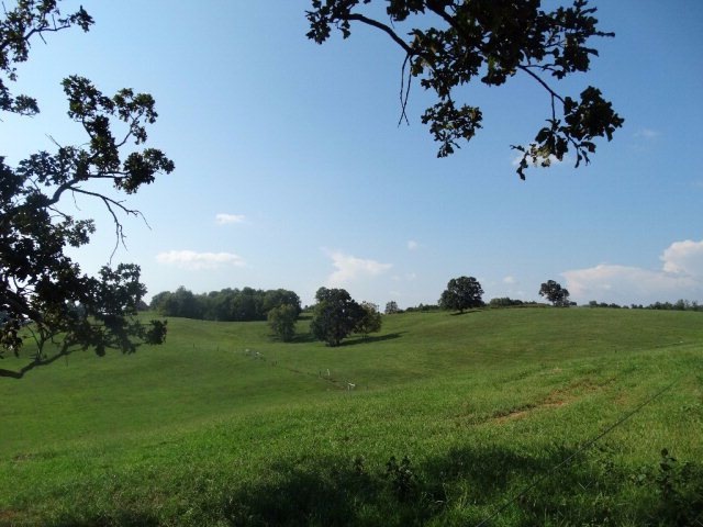 30.46 AC Stone Seminary Rd, Cookeville, TN 38506 - photo 1