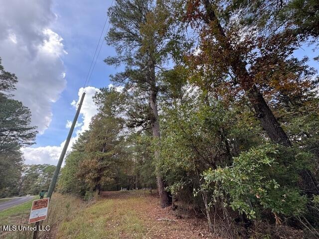 0 Coons Mill Rd, Centreville, MS 39631 - photo 1