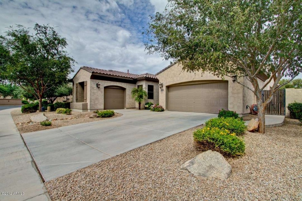 Mesquite Grove (1)