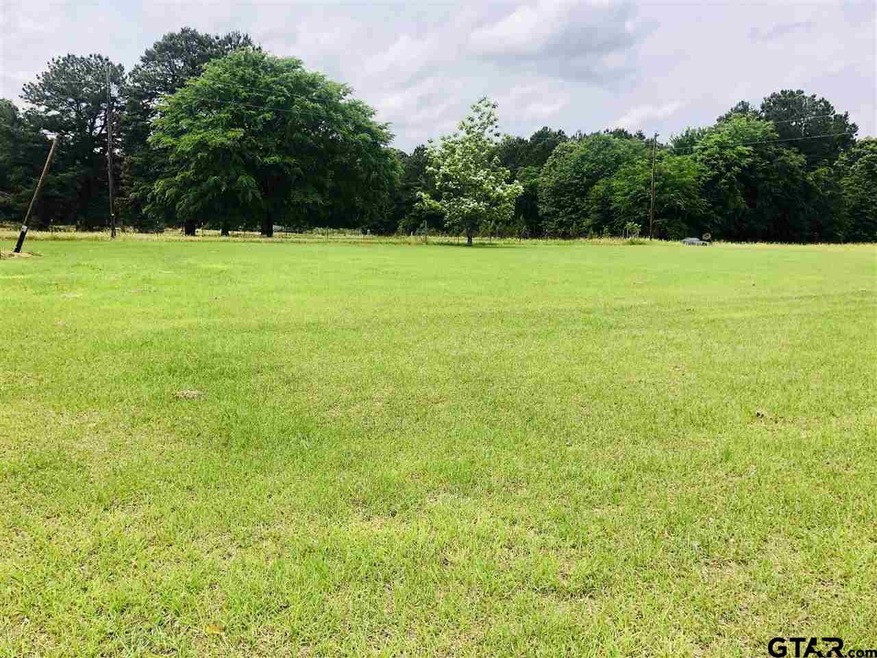 15595 Vantage View Dr, Tyler, TX 75707 - photo 1