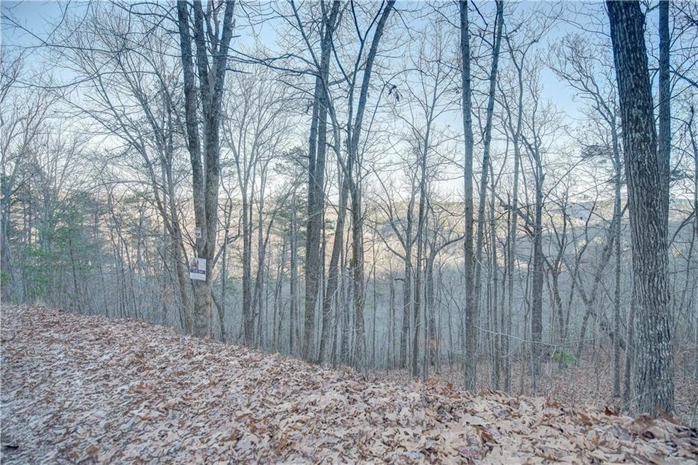 804 Lonsdale Ln, Ranger, GA 30734 - photo 1