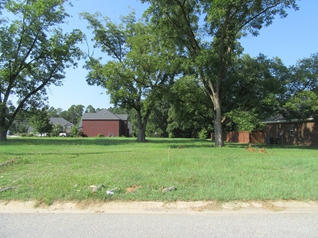 Primary Photo