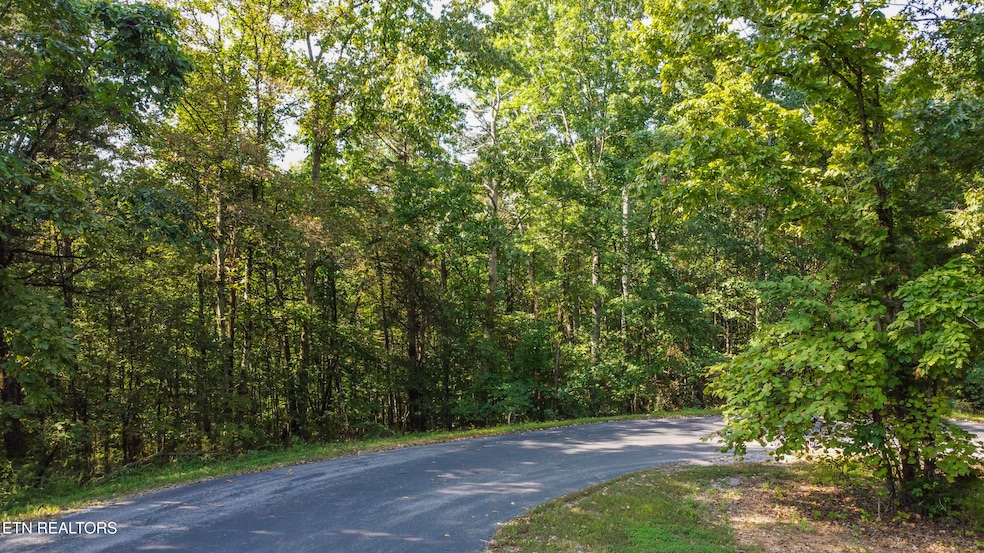 310 Elohi Trace, Loudon, TN 37774 - photo 1