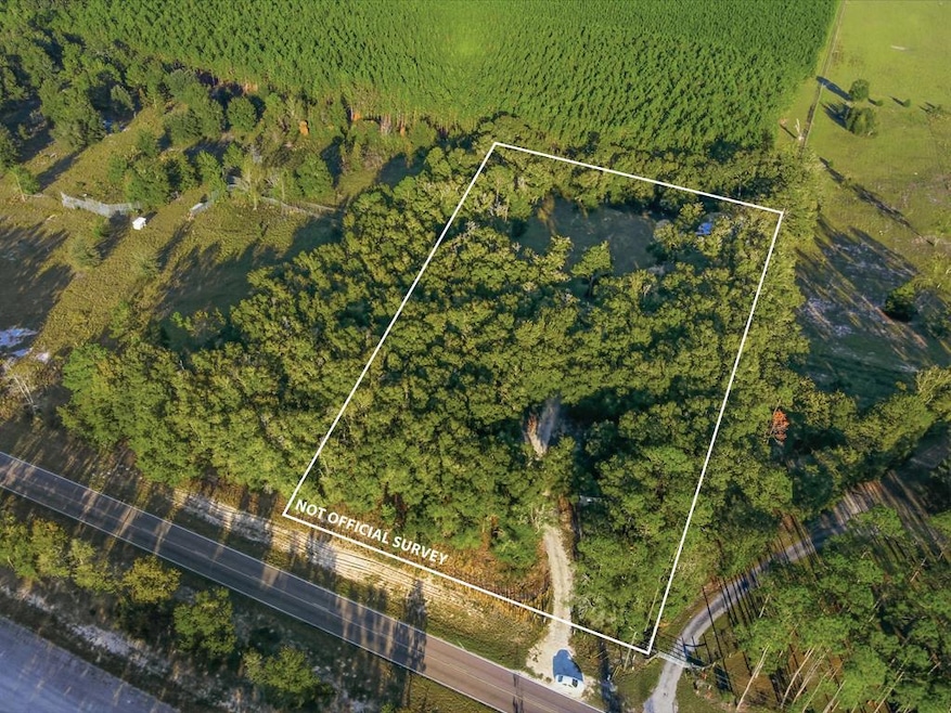 0000 NW 60th Ave, Chiefland, FL 32631 - photo 1