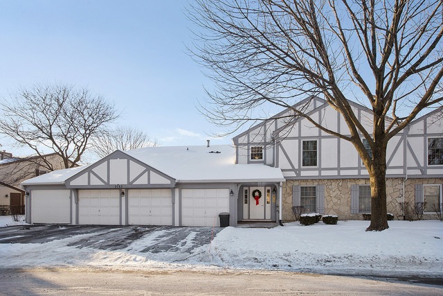 2163 Lancaster Cir unit 201A, Naperville, IL 60565 - photo 1