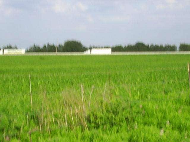 Land : One of four tracts available, total of 11.3