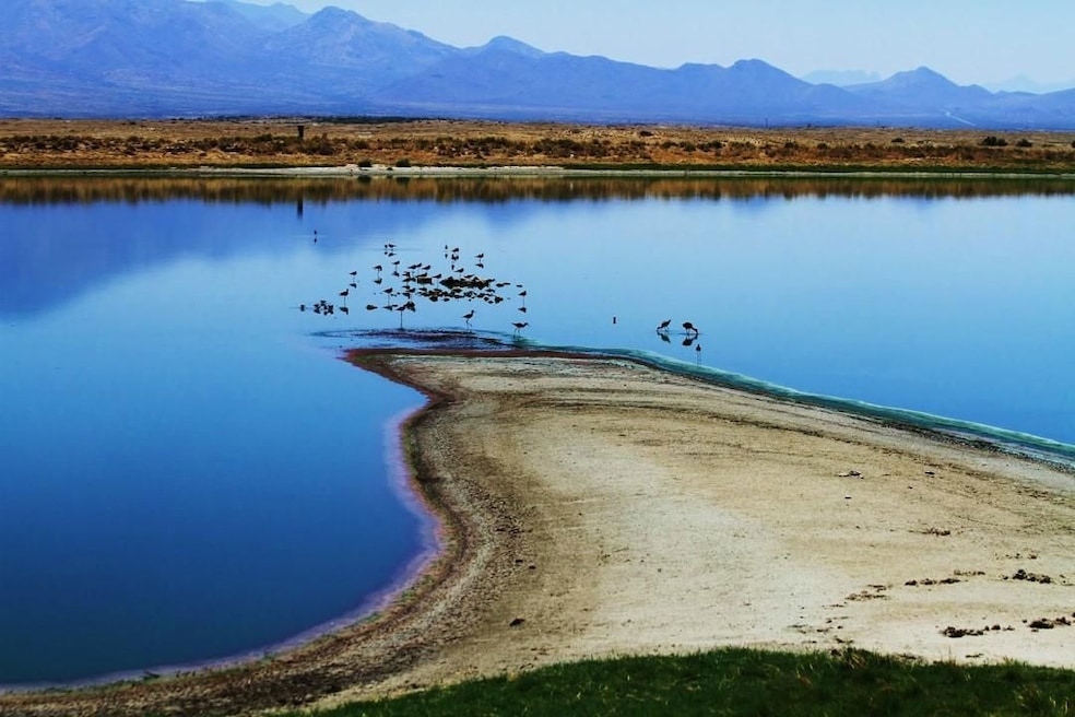 0 W Geronimo Dr, Willcox, AZ 85643 - photo 1