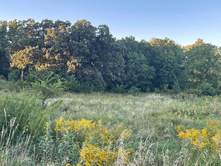 16.4 Ac County Rd E, Brooklyn, WI 53521 - photo 1