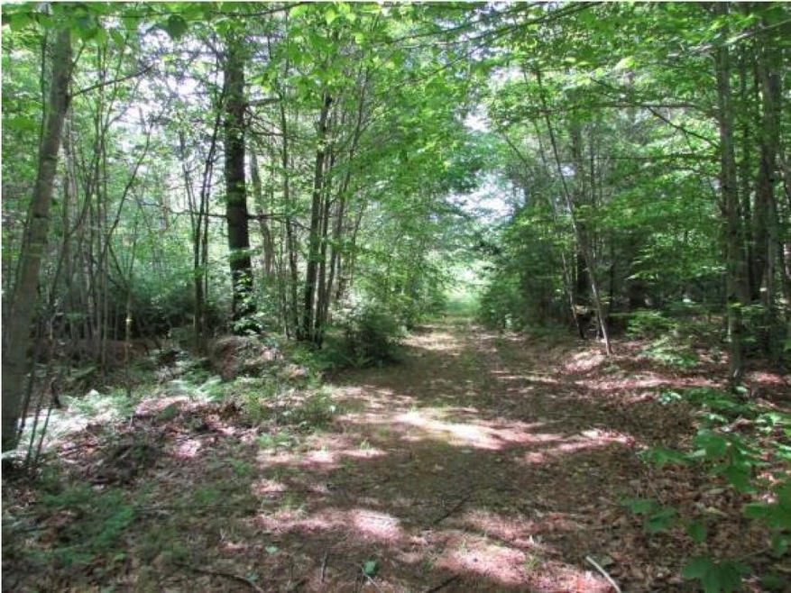 12 Summit View Dr, Moultonborough, NH 03254 - photo 1