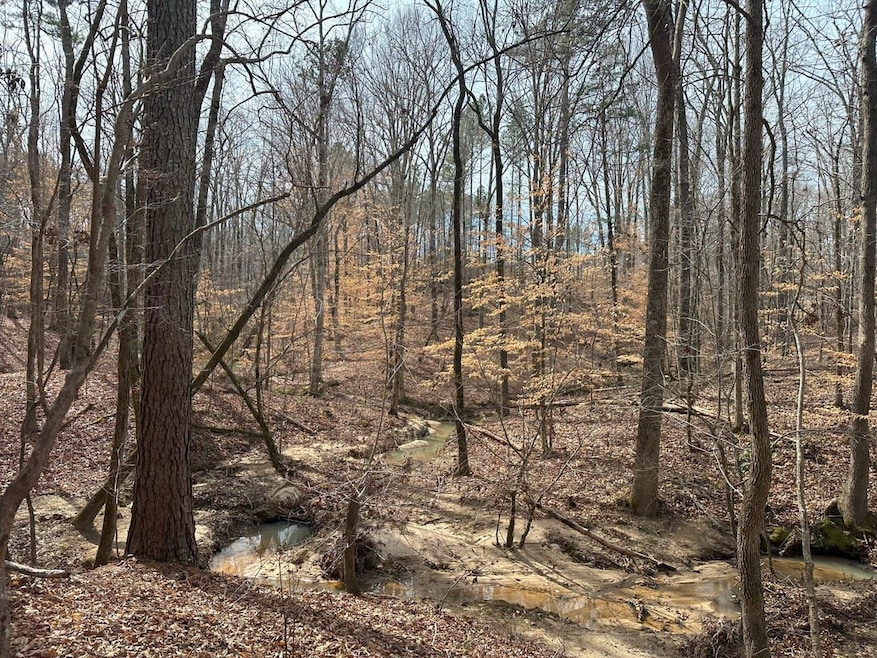 0 Old Middleton Rd unit 22775401, Elberton, GA 30635 - photo 1