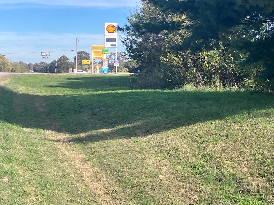 100 Iowa St, Koshkonong, MO 65692 - photo 1