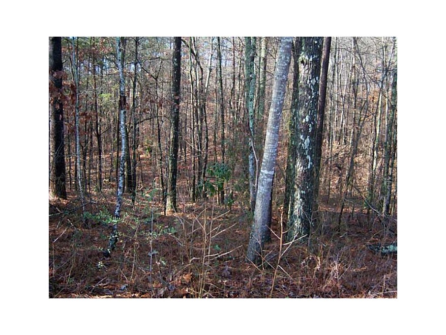 0 Pinecrest Rd unit 5387673, Canton, GA 30115 - photo 1