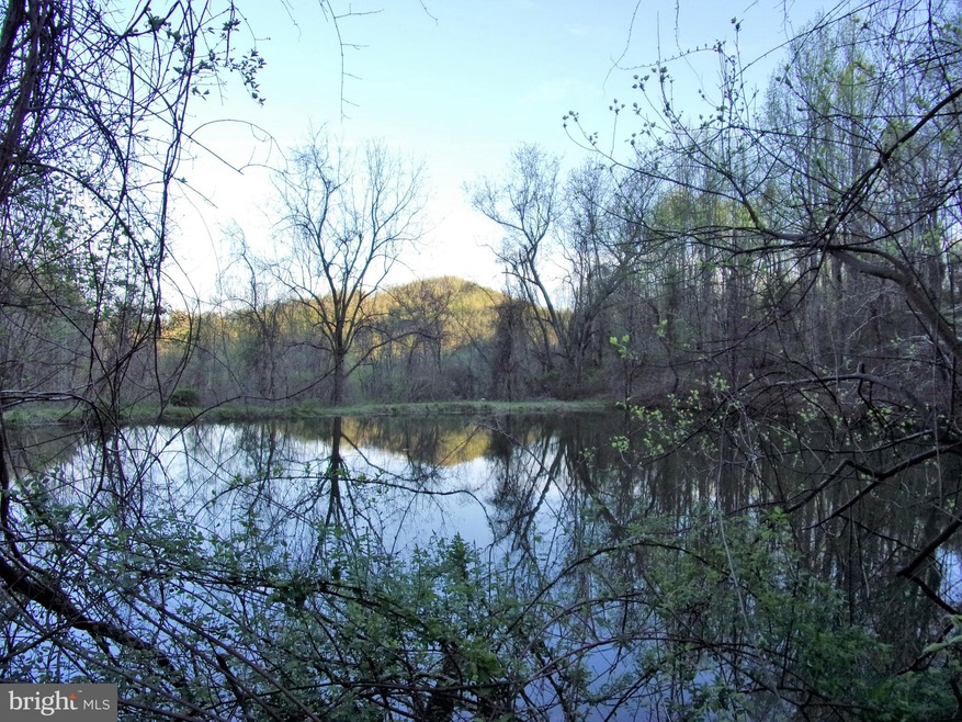 0 F T Valley Rd unit VARP107254, Sperryville, VA 22740 - photo 1