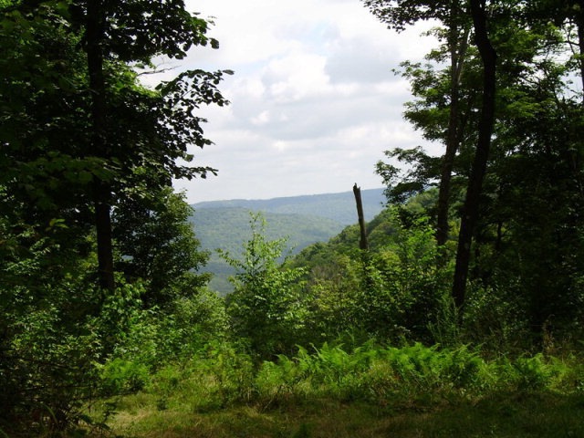 6 & 8 T 473 White Knoll, Ulysses, PA 16948 - photo 1