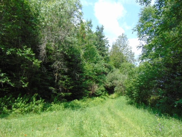 00 Hoyt Rd, Stewartstown, NH 03597 - photo 1