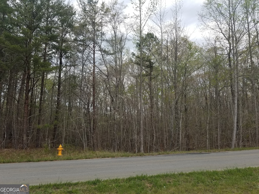 0 Susie Pope Rd unit 10499156, Buchanan, GA 30113 - photo 1