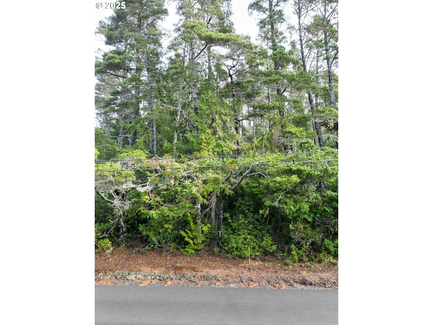 0 Prosper Junction Rd, Bandon, OR 97411 - photo 1