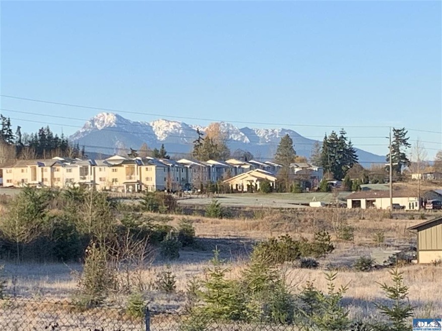 590 Elk Loop, Sequim, WA 98382 - photo 1