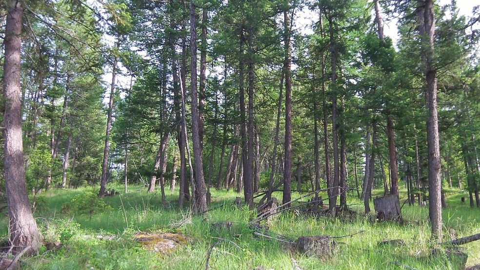 148 Walking Coyote Dr, Kalispell, MT 59901 - photo 1