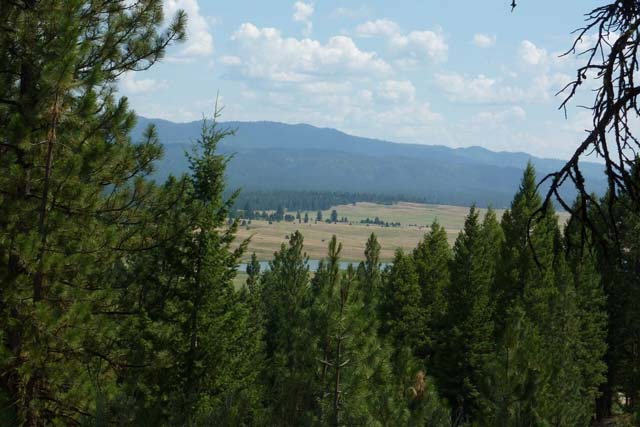 Main View
