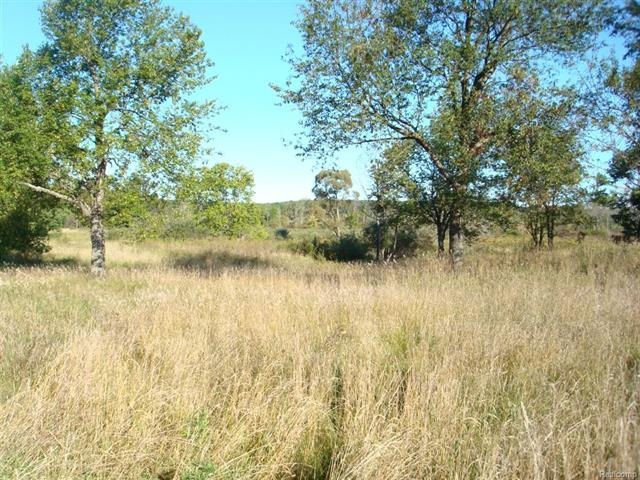 Vacant Casey 23 acres 004.jpg