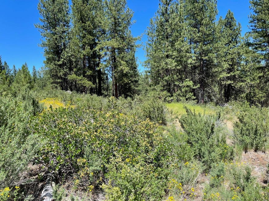 1.04 Acres ~ Williamson River Pines