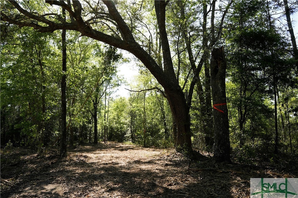 0 Floyd Rd unit Lot 9 328851, Pembroke, GA 31321 - photo 1