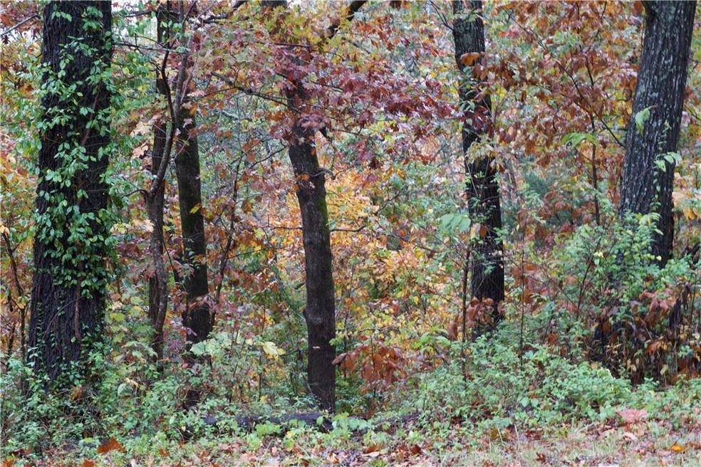 0 Pease Dr, Bella Vista, AR 72715 - photo 1