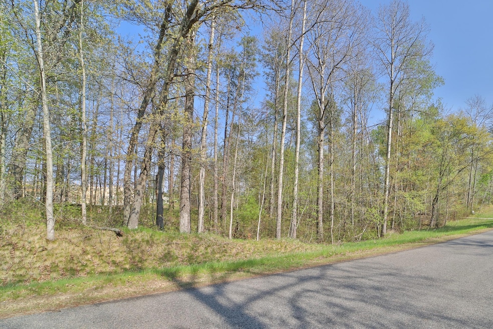 Lot 5, 6 & 7 Terminal Rd, Breezy Point, MN 56472 - photo 1