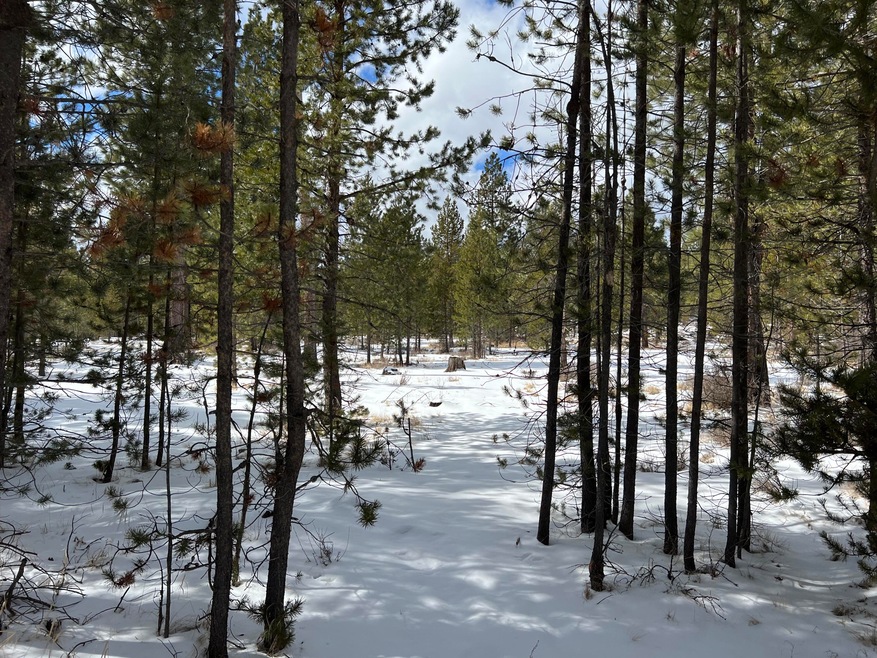 56247 Stellar Dr, Bend, OR 97707 - photo 1