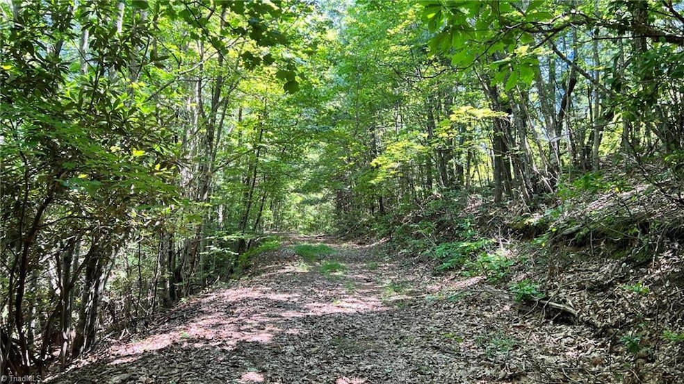 TBD2 Barlowe Place, Lenoir, NC 28645 - photo 1