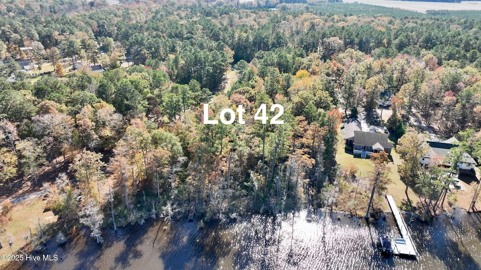 Lot 42 See View, Hertford, NC 27944 - photo 1