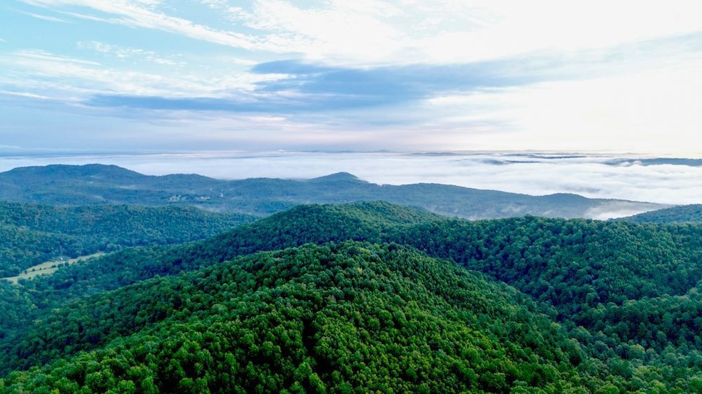 0000 County Road 6061, Flippin, AR 72634 - photo 1