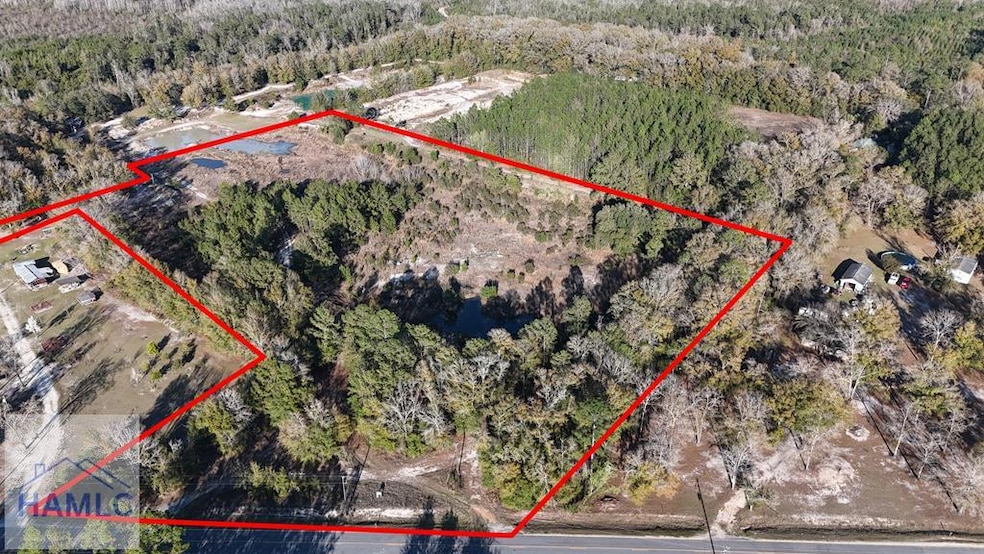 12 Acres Raybon Rd E, Nahunta, GA 31553 - photo 1