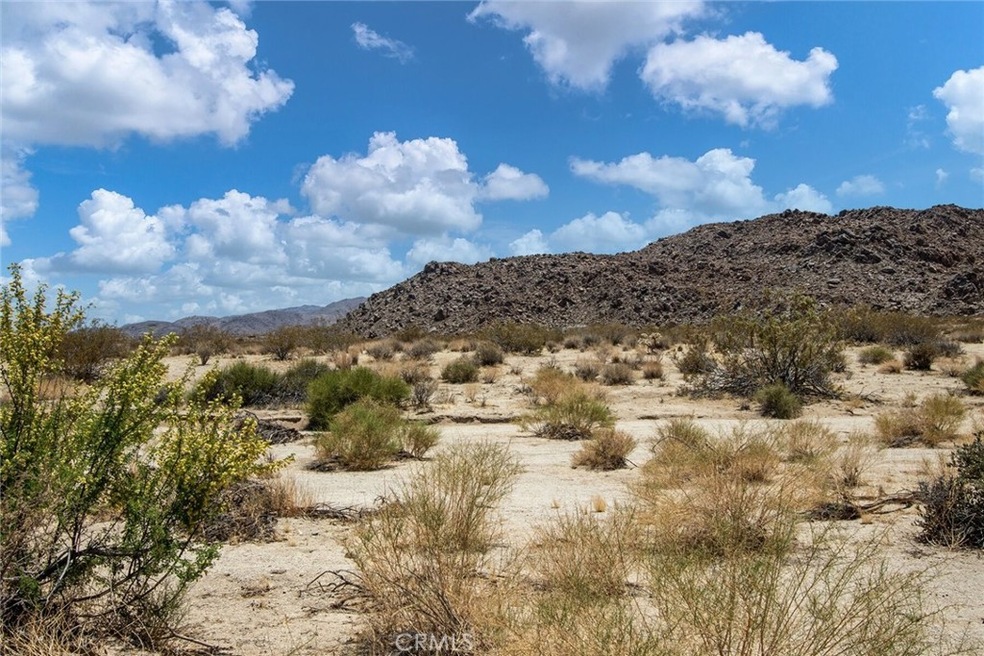 60810121 Cottonwood Dr, Joshua Tree, CA 92252 - photo 1