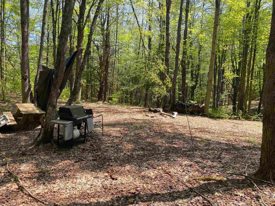 00 Minard Rd, Westminster, VT 05346 - photo 1