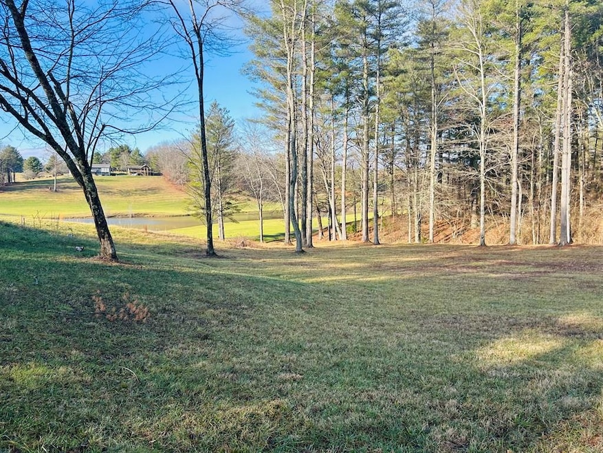 TBD Manor House Dr, Laurel Fork, VA 24352 - photo 1