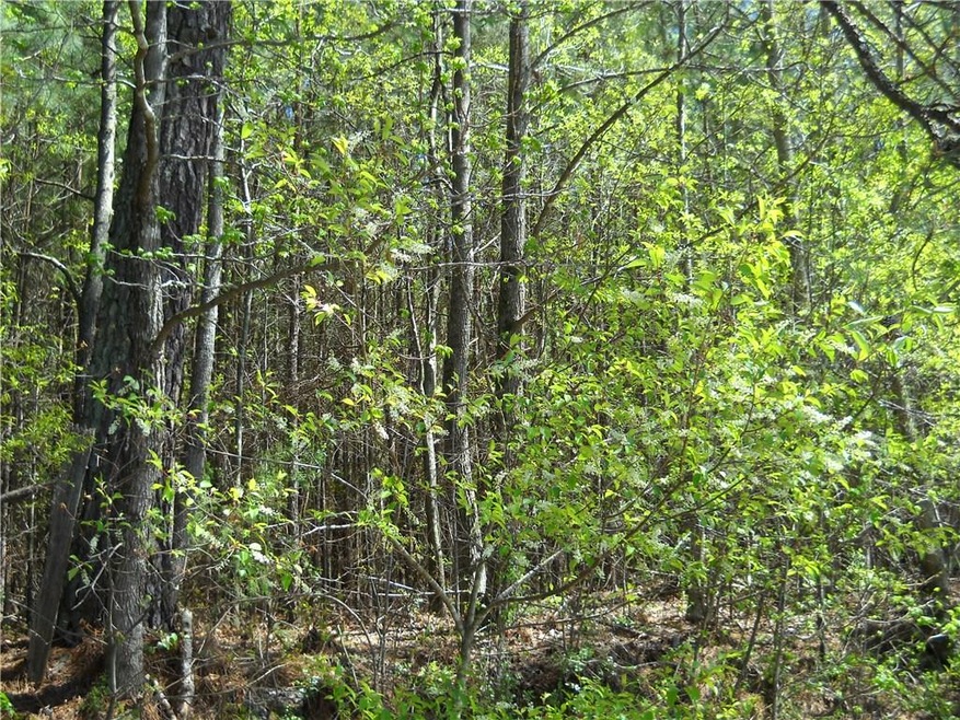 1000 Bell Rd, Bremen, GA 30110 - photo 1