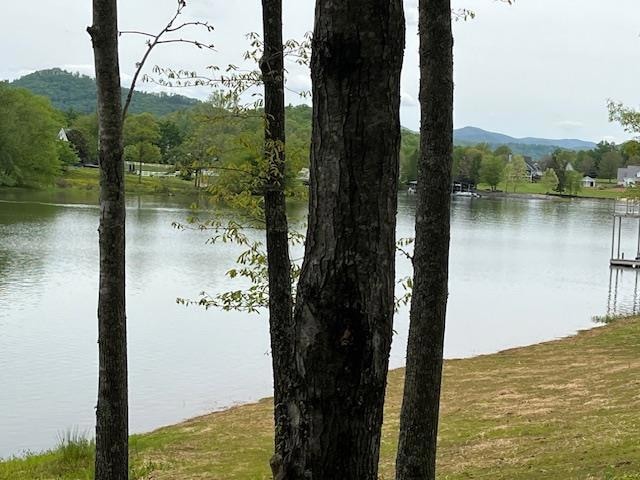Main View