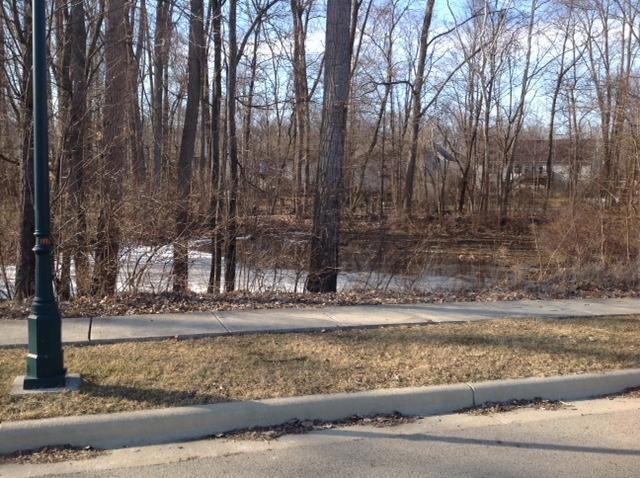 Whitepine Ridge Ct. Ravine Entrance