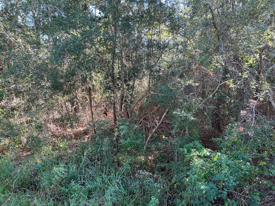 Poinsetta Loop 1