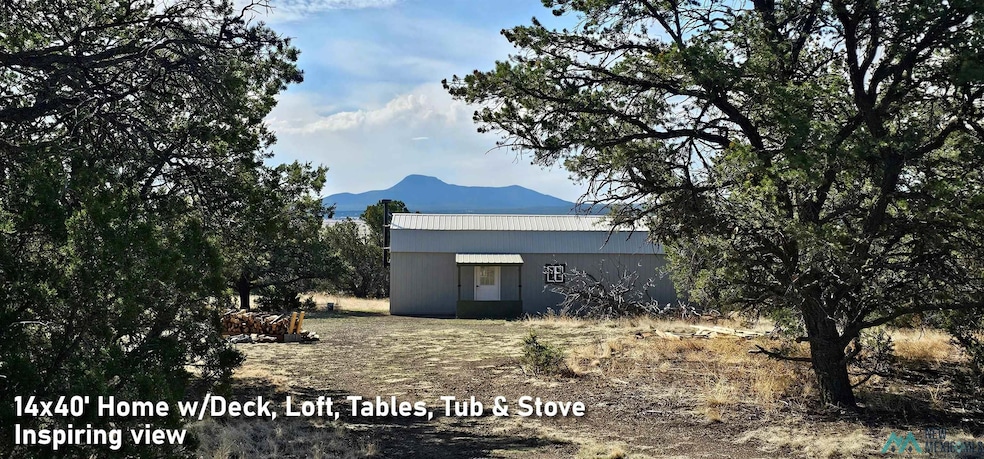 TBD Mujeres View Rd, Fence Lake, NM 87315 - photo 1