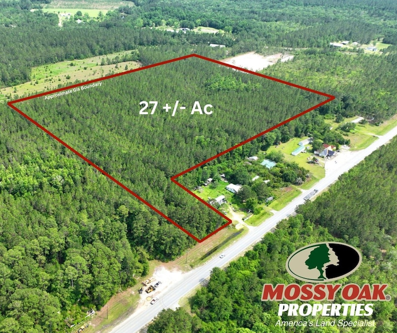 0 Us Highway 301, Jesup, GA 31546 - photo 1