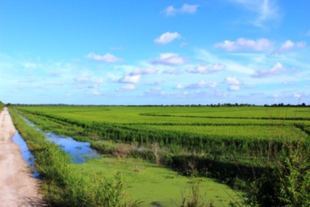 1800acre County Road 168, Alvin, TX 77511 - photo 1