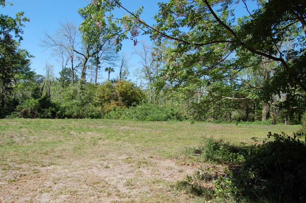 0 Grove Park Blvd unit 1075886, Jacksonville, FL 32216 - photo 1