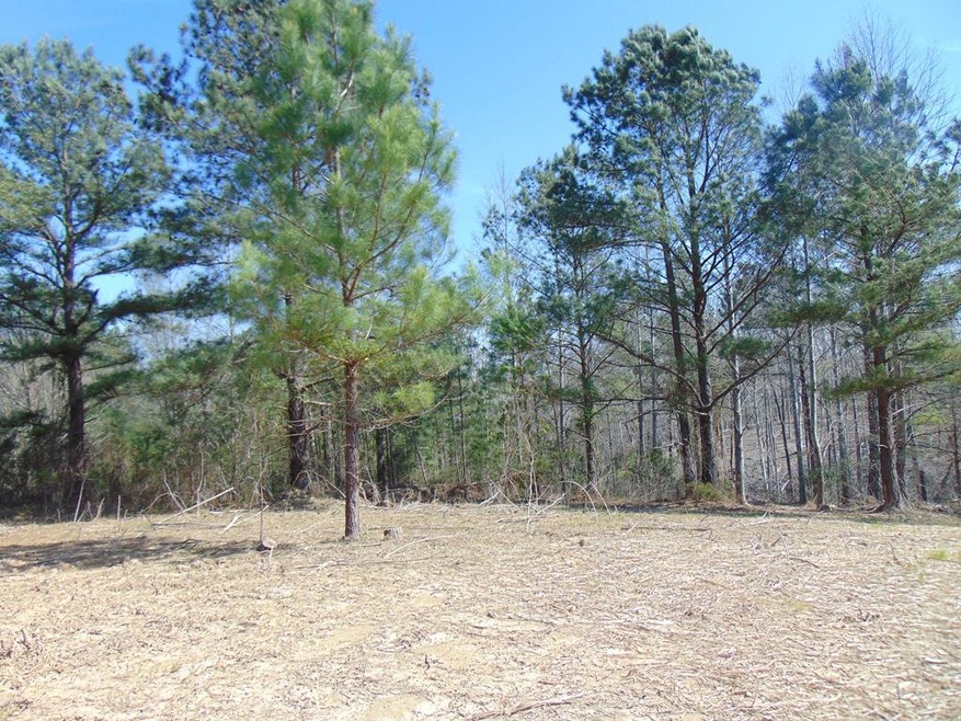 7.87 AC Paran Rd, Cookeville, TN 38506 - photo 1