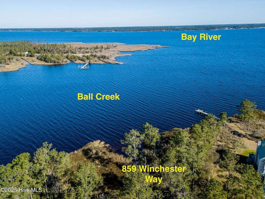 859 Winchester Way, Merritt, NC 28556 - photo 1