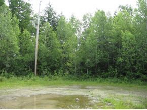 LOT 49 Forest View Dr, Effingham, NH 03882 - photo 1